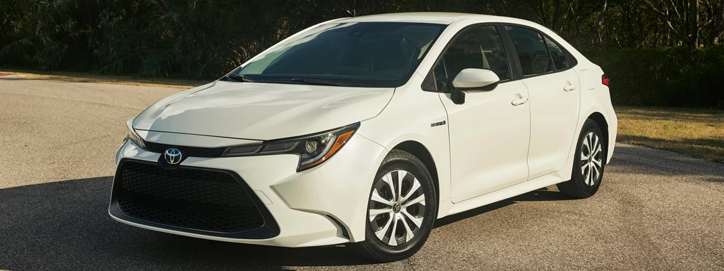 Cars wallpapers Toyota Corolla LE Hybrid Sedan US-spec - 2019 - Car wallpapers